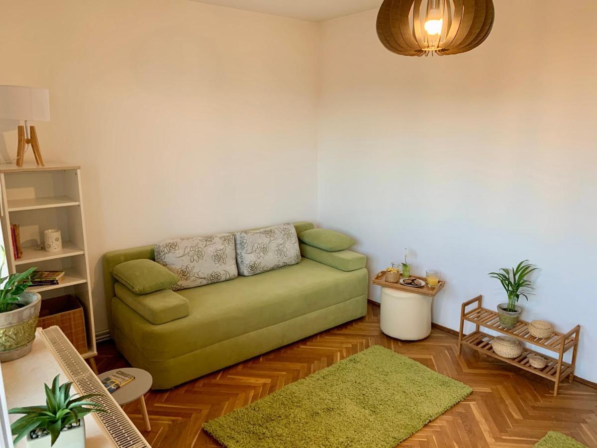 Viktory Apartment Brasov Luaran gambar